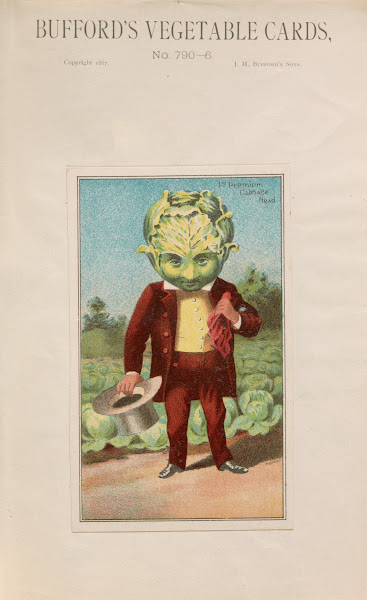 Buffords vegetable cards no 790 6 cabbage 1887
