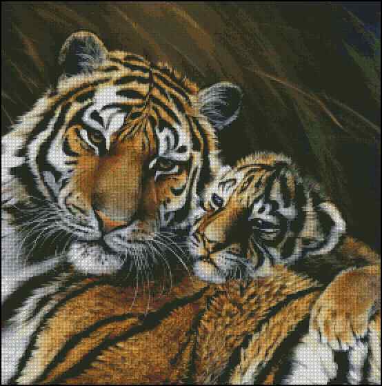 CMP 400677 Tigress And Cub