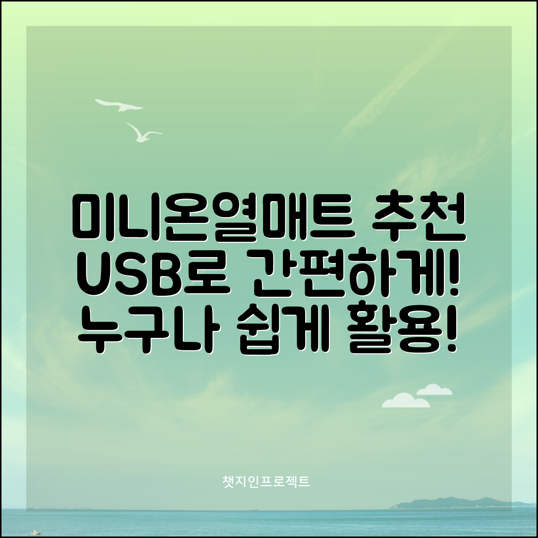 누구나 쉽게 활용하는 미니온열매트USB 추천