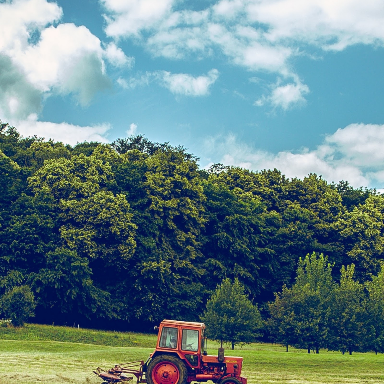 Download Red Tractor in Green Field Full HD iPhone