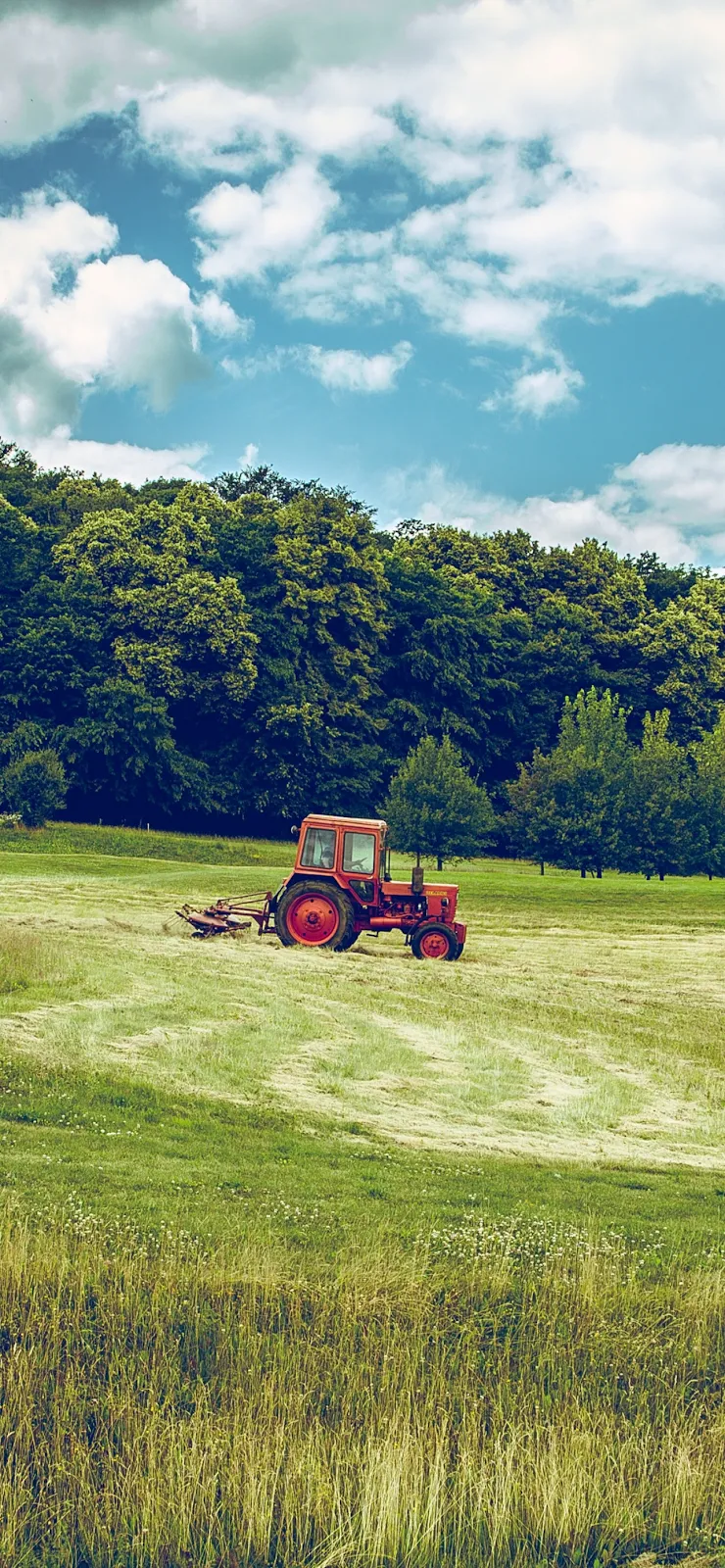 Red Tractor in Green Field - Landscape Photography Full HD iPhone Wallpaper (1284x2778)