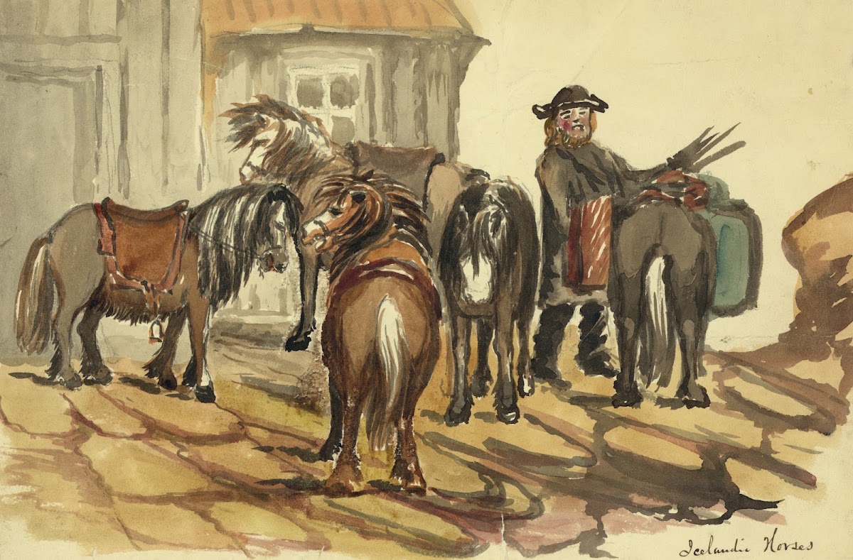 Icelandic horses 1862