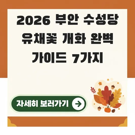 부안 수성당 유채꽃 개화시기 완벽