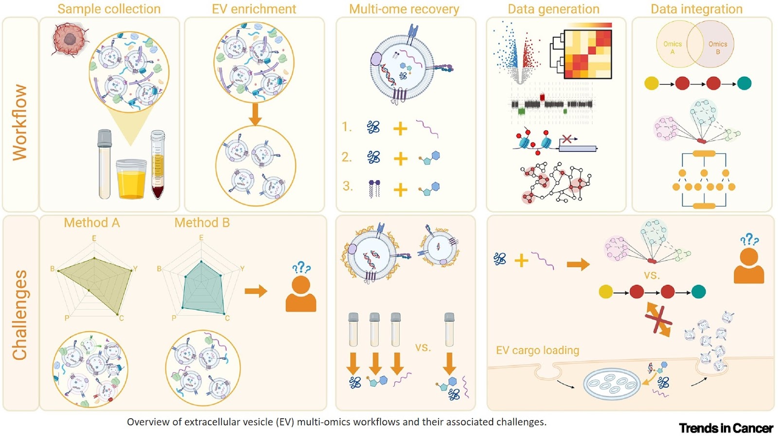 Multi-omics analysis of extracellular vesicle cargo in cancer