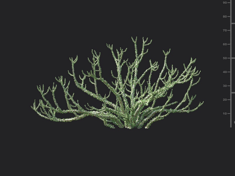 Maxtree - Plant Models Vol.130