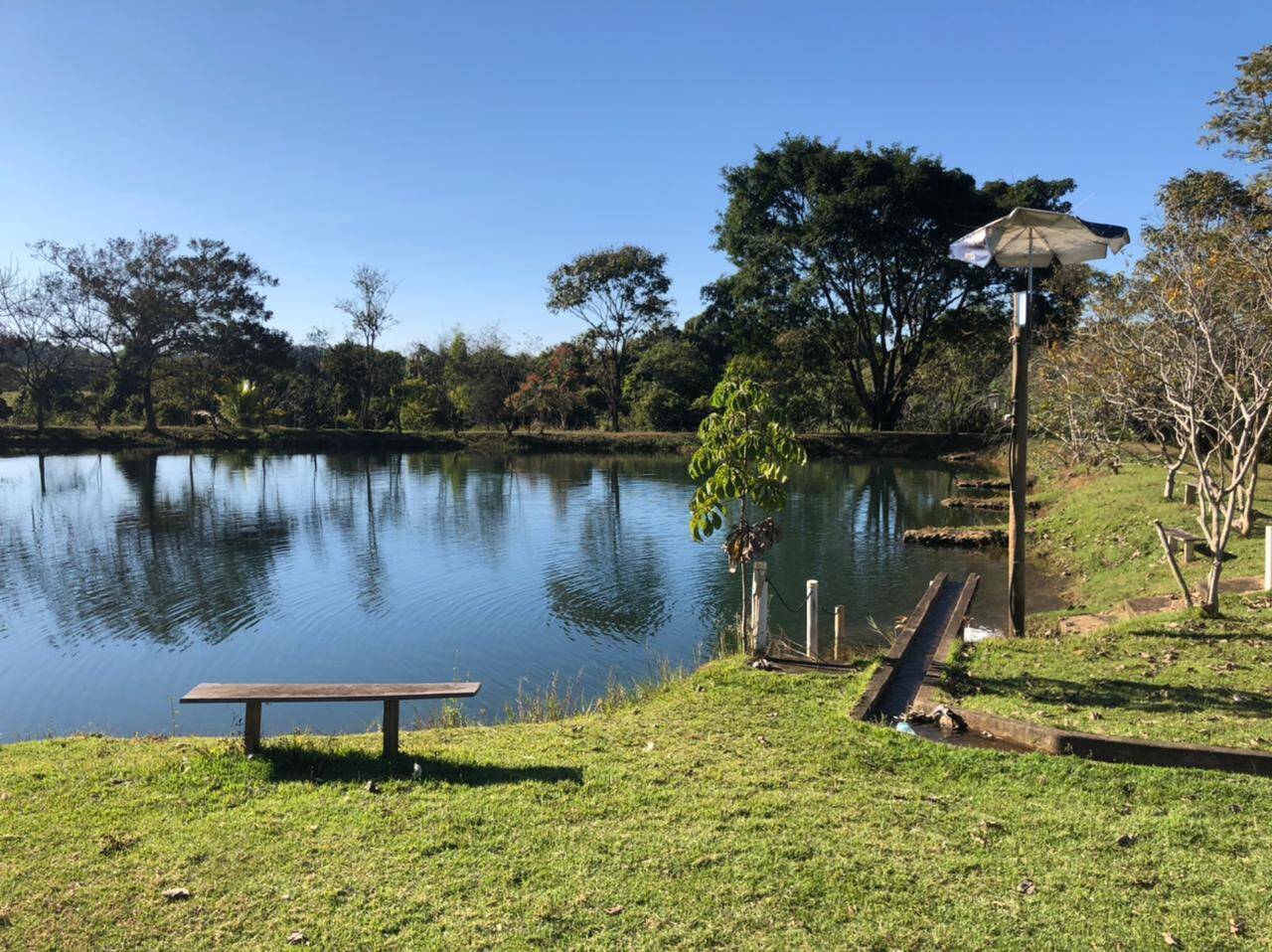 Sítio em Bela Vista de Goiás - GO 9