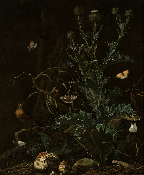 Abraham Jansz Begeyn