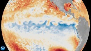 El Nino 2026: Monster Wave Signals Strong Event, India Monsoon Risk