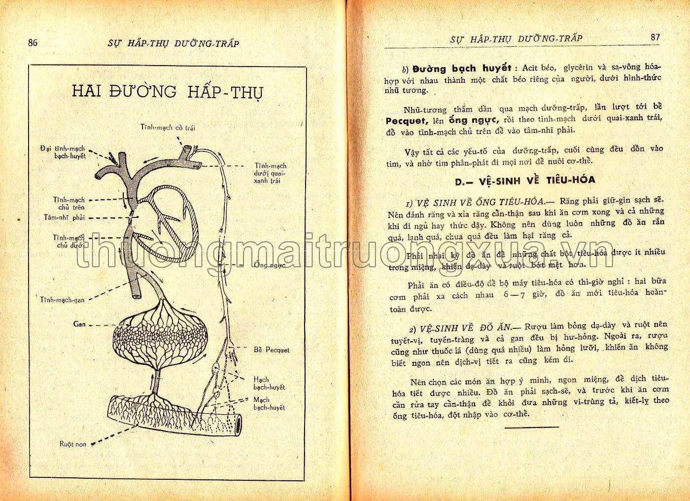 Vạn vật học lớp đệ tứ (1967) - Trang 44