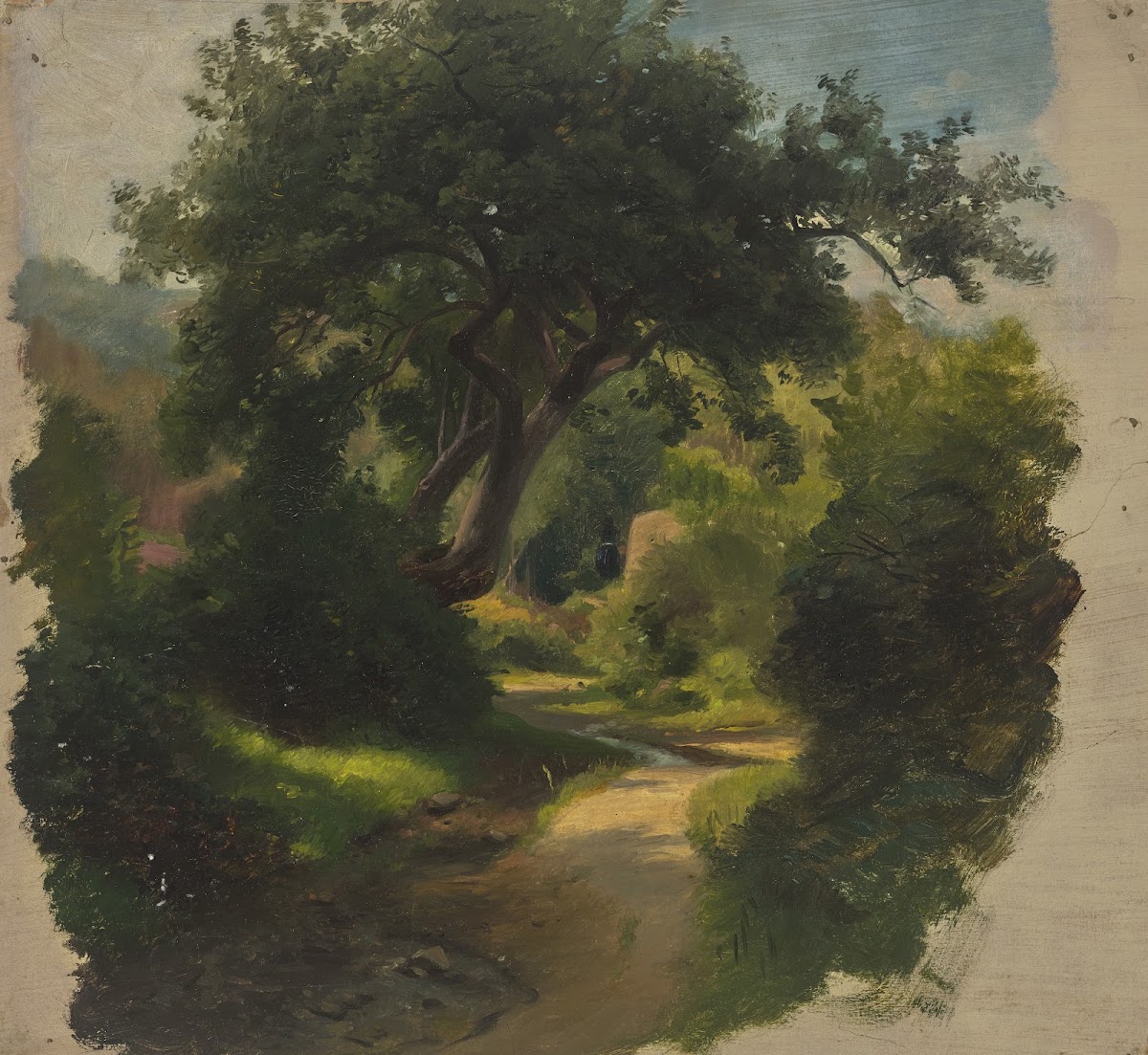 Forest path