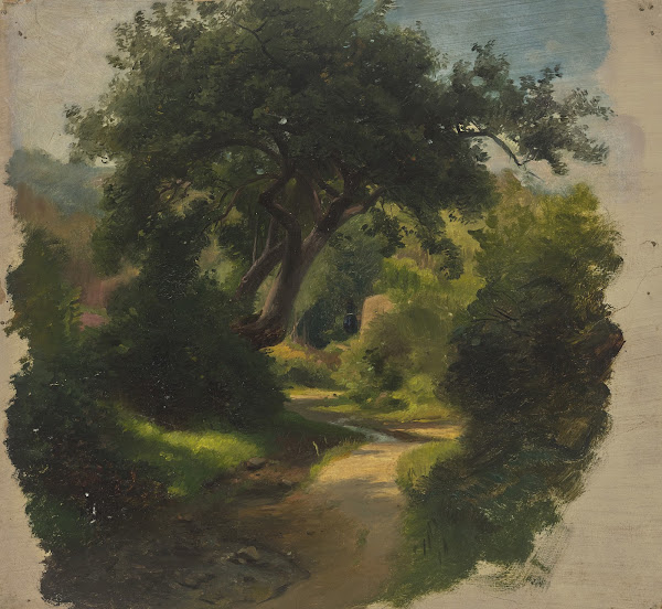 Forest path