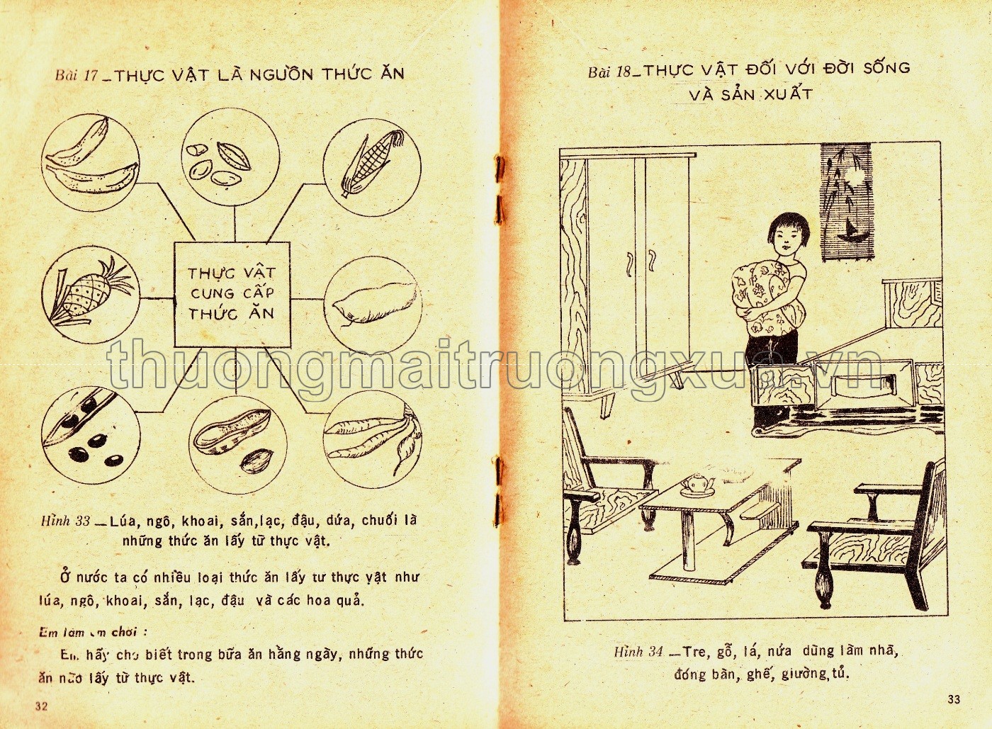 Tìm hiểu khoa học 2 (1983) - Trang 19