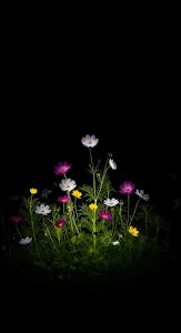 Geometric Architectural Shadows