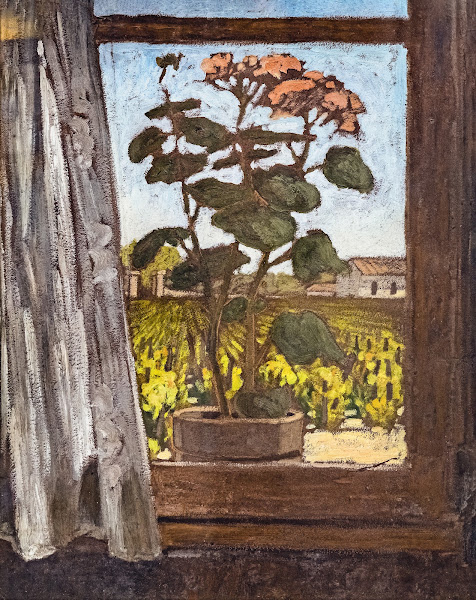 Rosebush and vines at Touny les Roses
