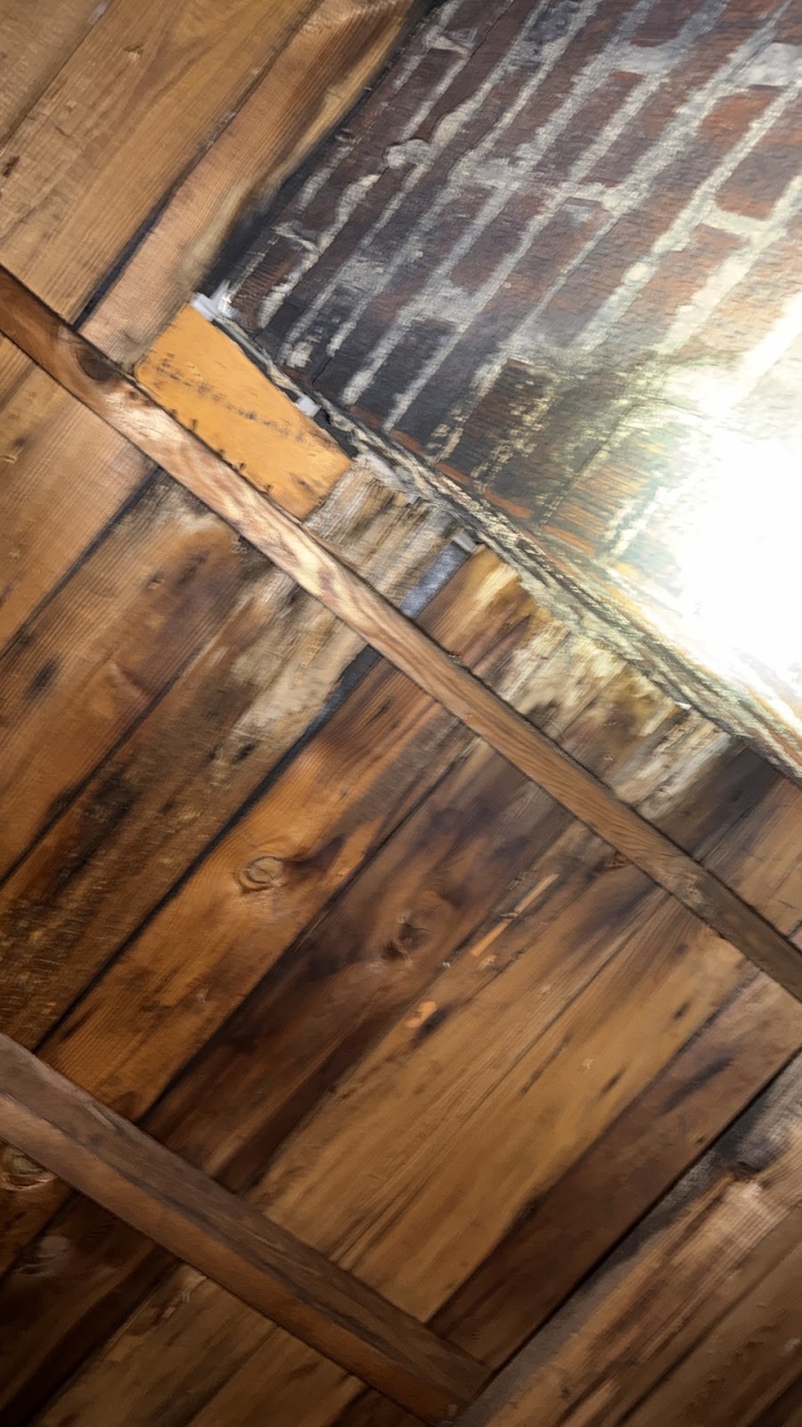 Copy of IMG_2026-03-13_14-13-53_153.jpg