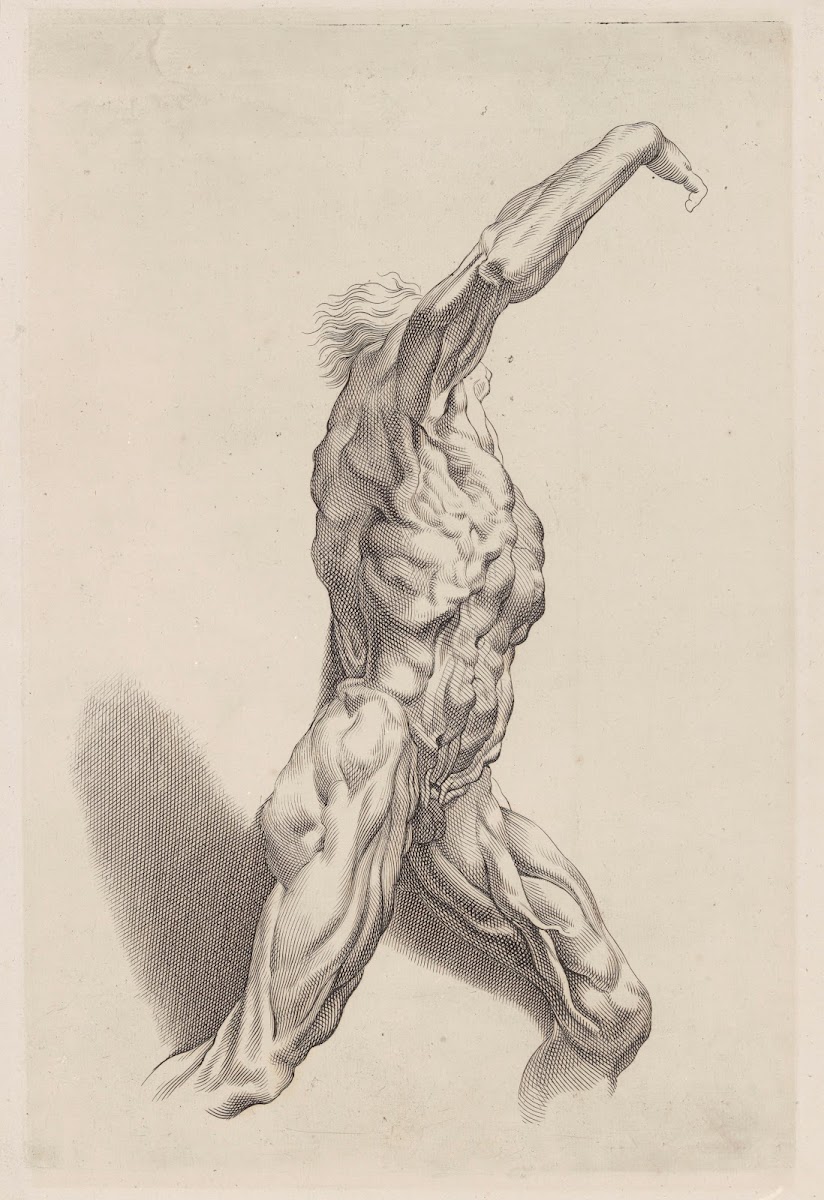 Nude Study