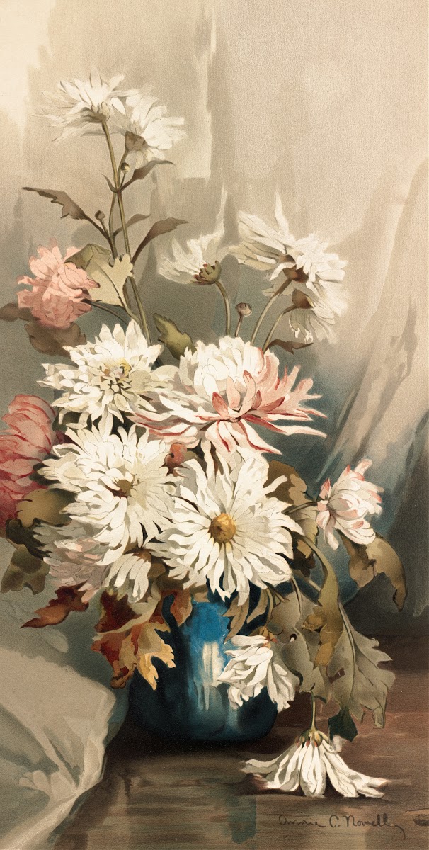 Chrysanthemums No 5 ca 18611897