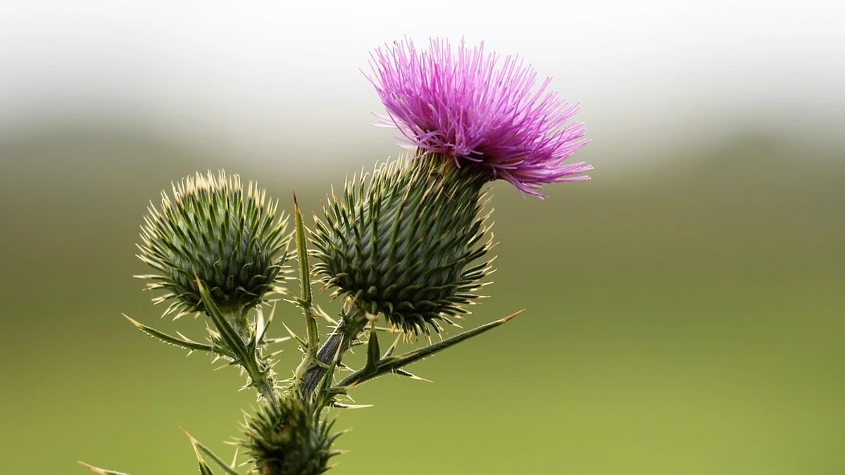 대중교통 신용카드 공제 조건과 카드별 실사용 절감 효과 비교