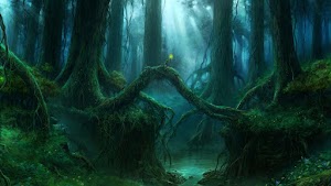 Jungle Wallpaper