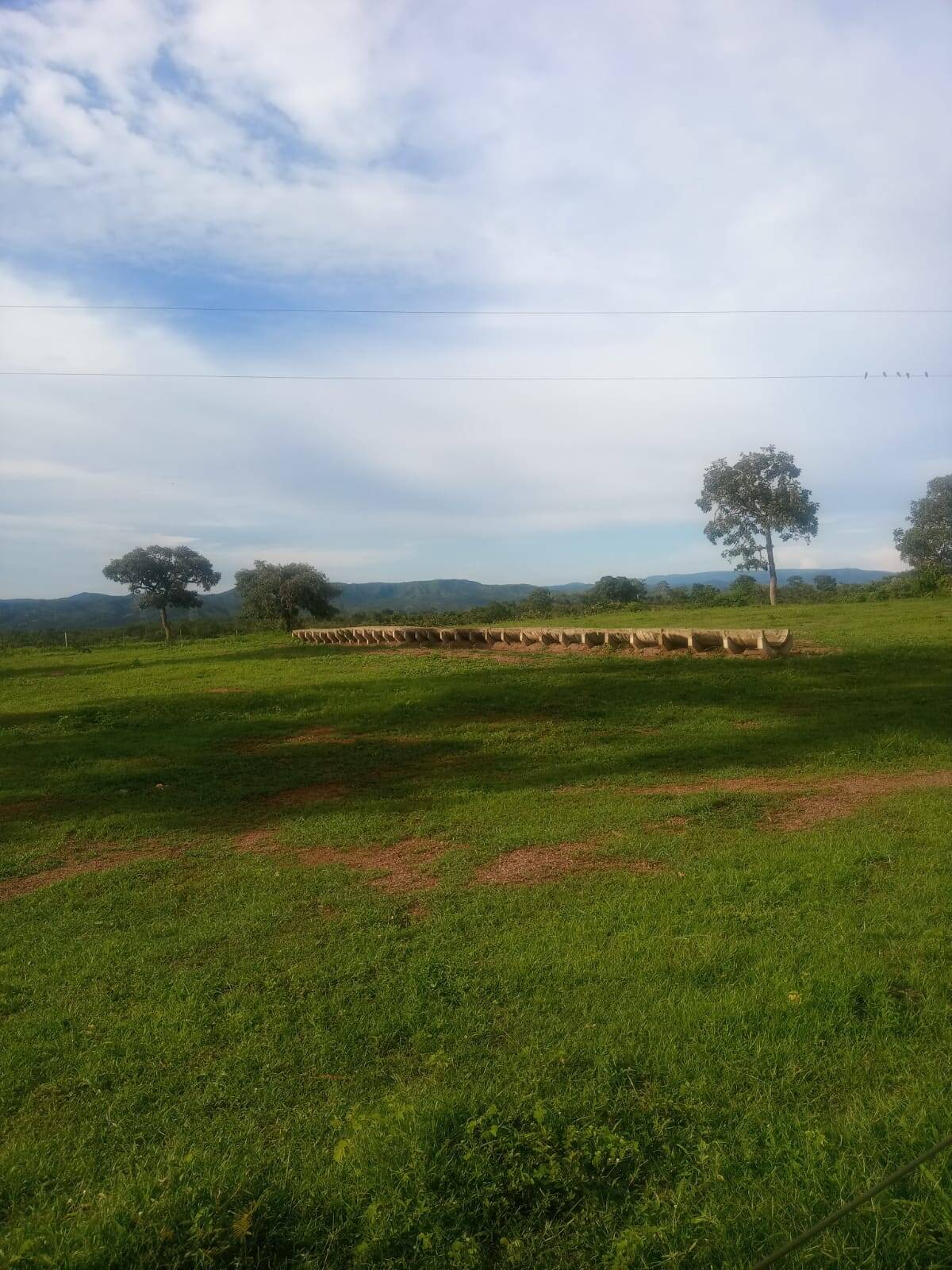 Fazenda em Padre Bernardo - GO 8