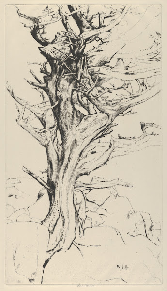 Torse of the Witch 1900 1925