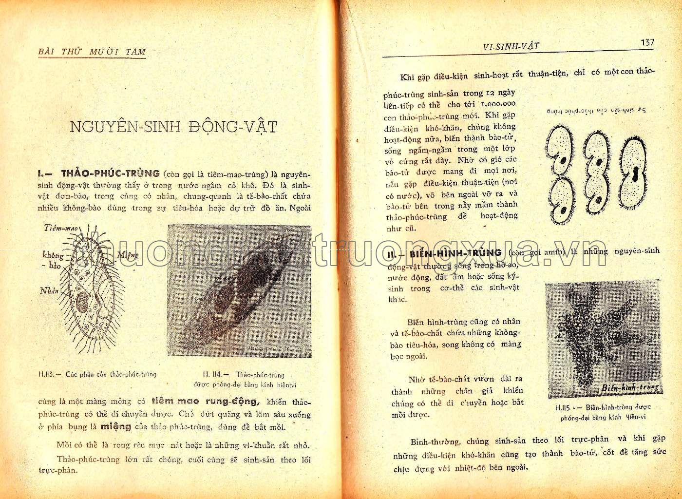 Vạn vật học lớp đệ tứ (1967) - Trang 69