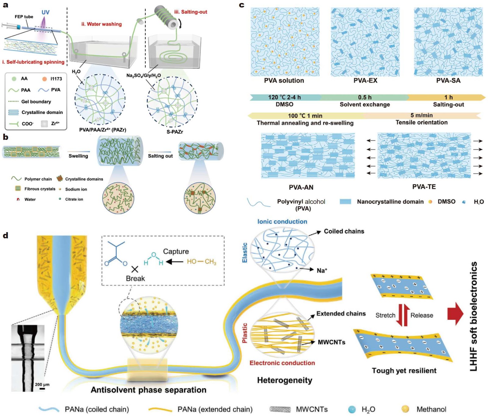 Morphological Evolution, Mechanical Properties and Hygroscopicity Behaviour of Hydrogel Fibres