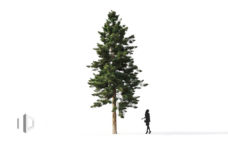 Maxtree - Plant Models Vol.9