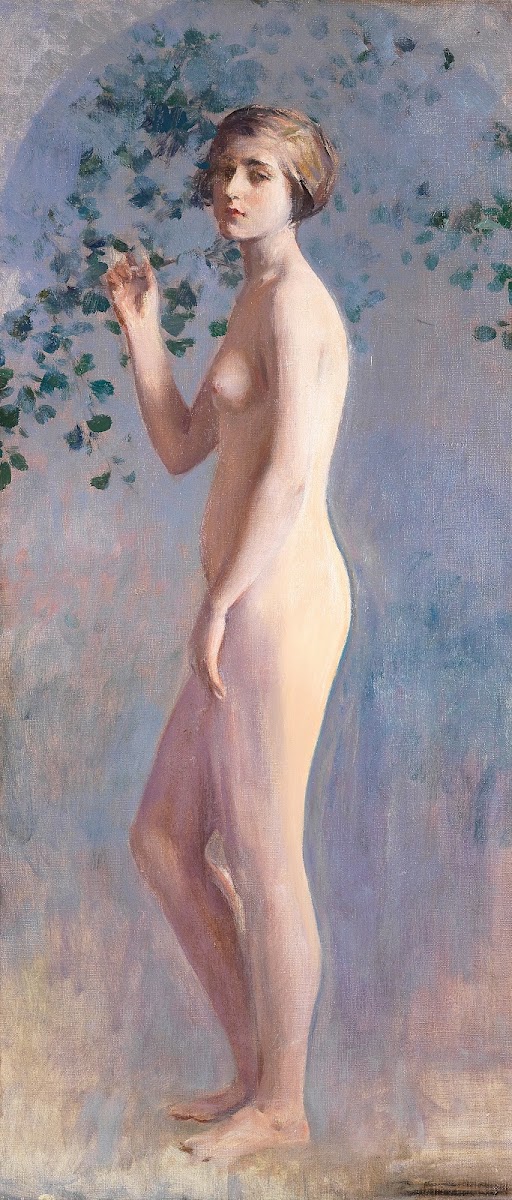 Desnudo