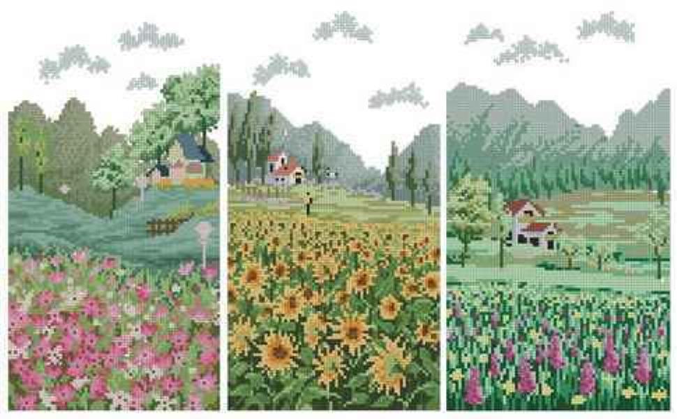CMP 340049 Flower Fields