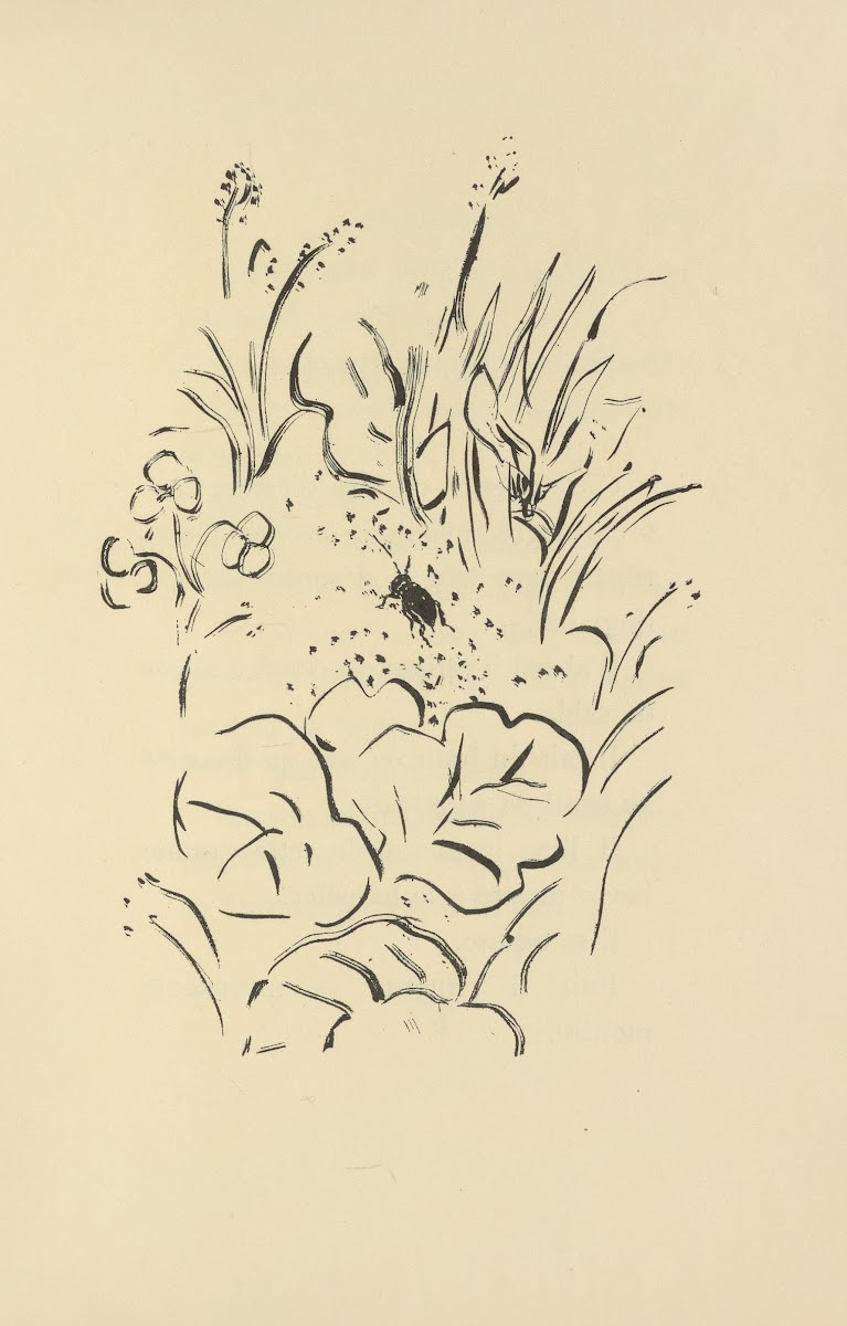 Histoires naturelles Pl 40 1922