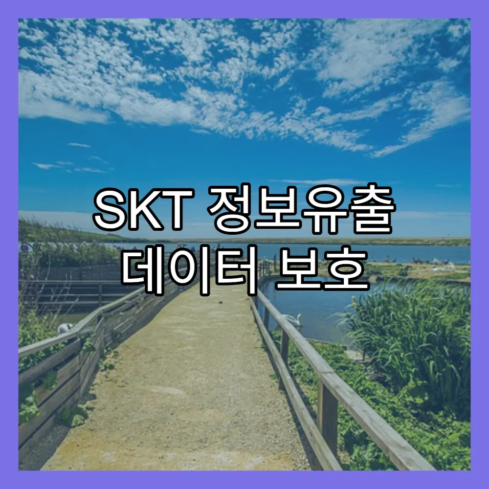 SKT 정보유출 데이터 보호 이슈(+보호조치, FDS2.0)