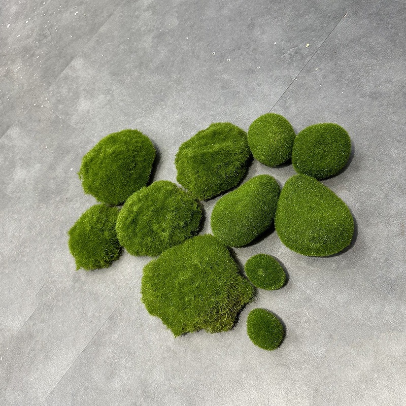 Dried Java Moss Portion