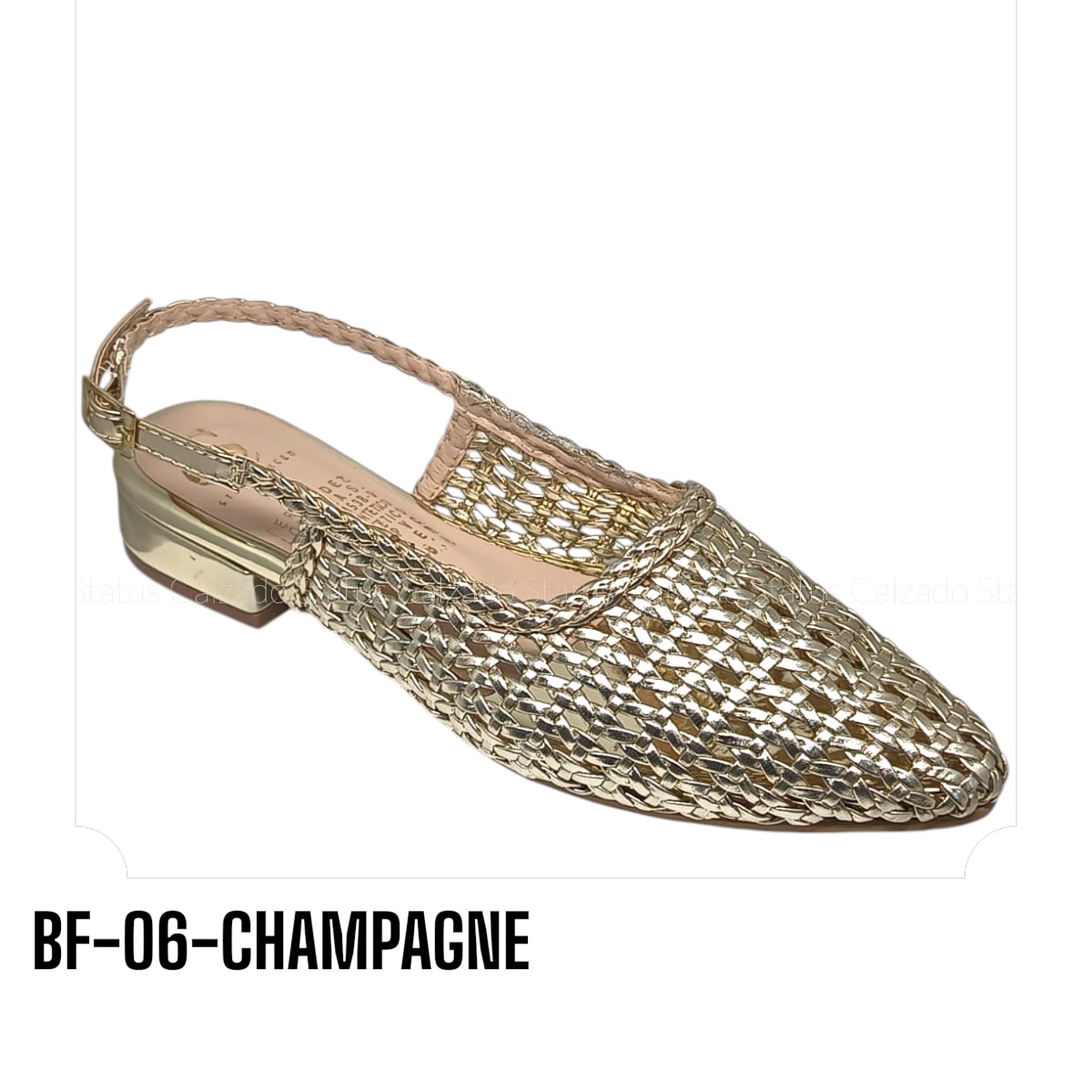 BF-O6-CHAMPAGNE