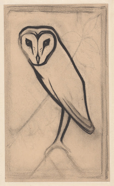 Owl 20th Century