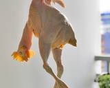 Ảnh Bước 2