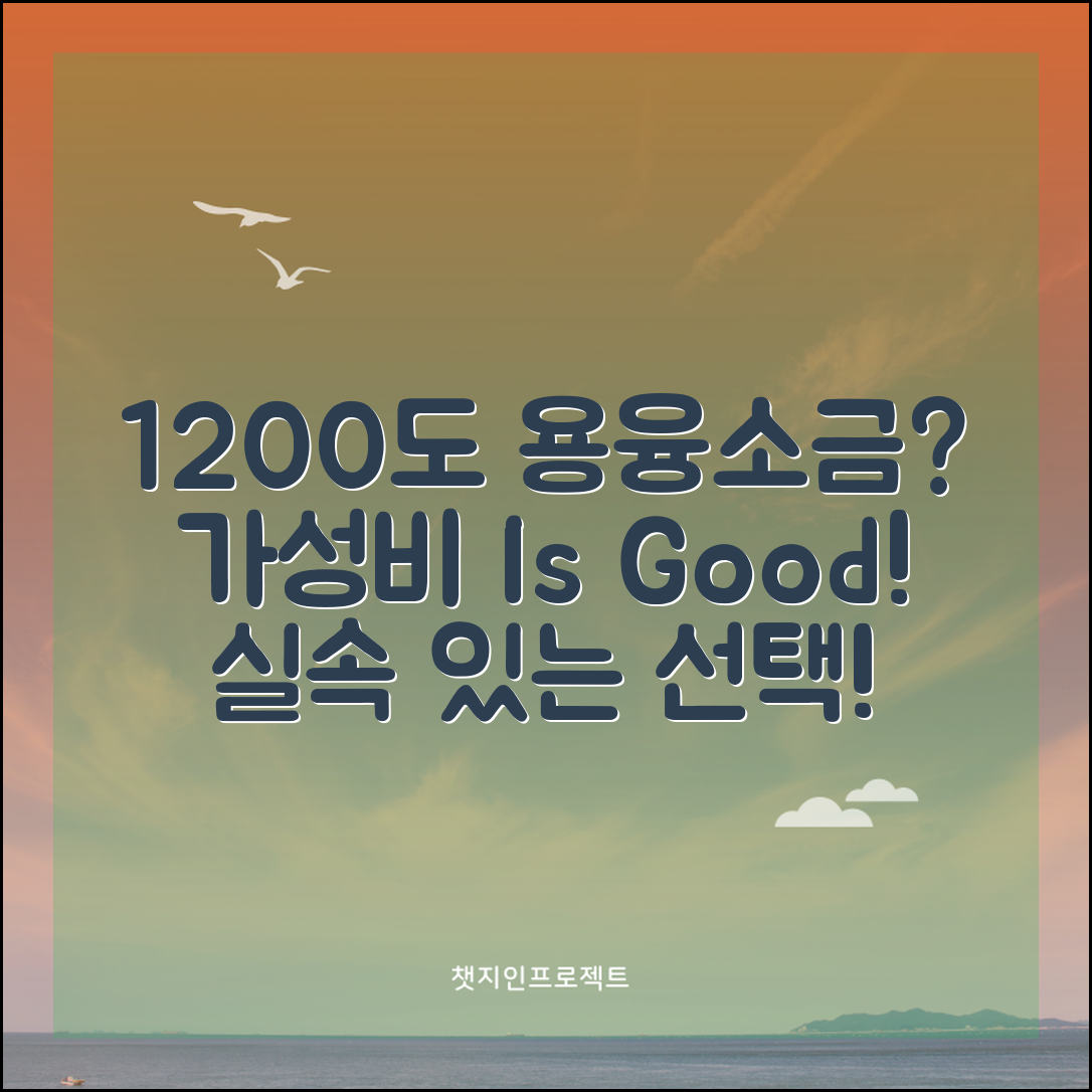“1200도용융소금, 가성비가 뛰어난 제품인가?”