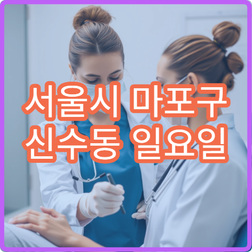 서울시 마포구 신수동 일요일 약국 문 연 약국 위치 및 영업 정보 안내
