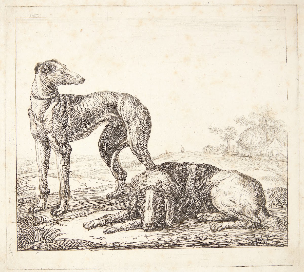 En mynde og en liggende hund