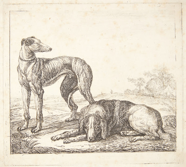 En mynde og en liggende hund