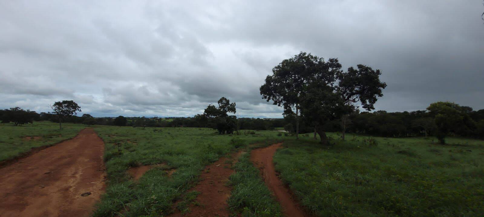 Fazenda em Porangatu - GO 8