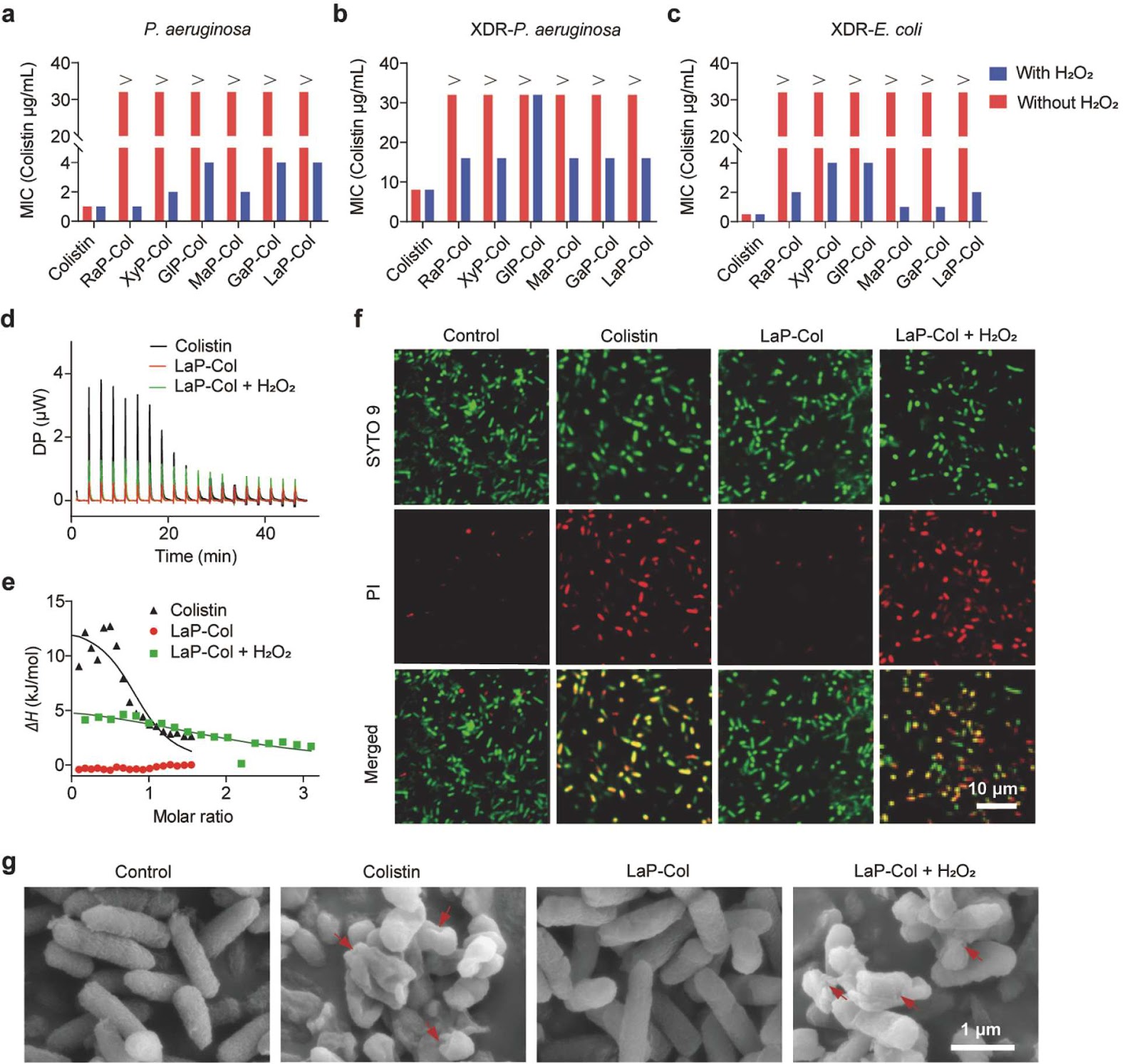 A conjugate strategy capable of targeting bacteria and selectively being activated at infection sites