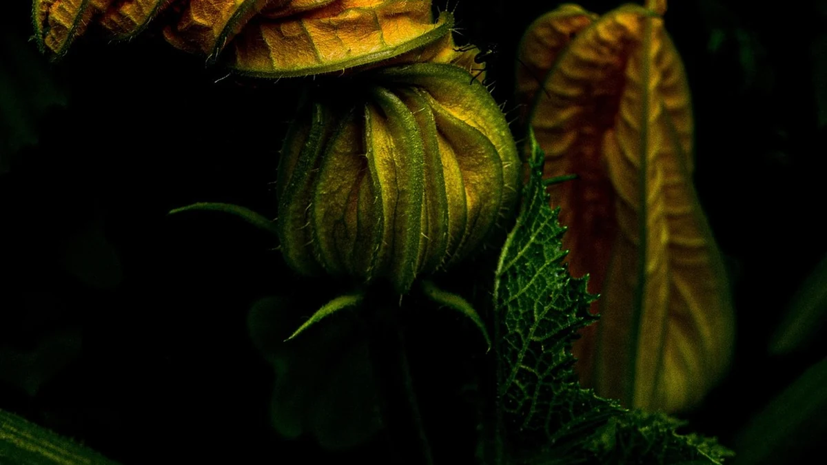 클라우드 AI 서비스별 데이터 처리 구조와 비용 구조 차이