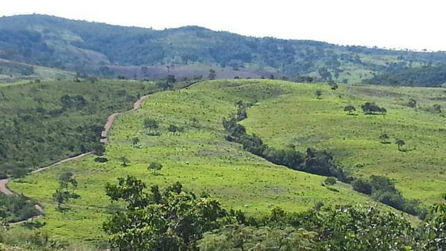 Fazenda em Ipameri-GO 6