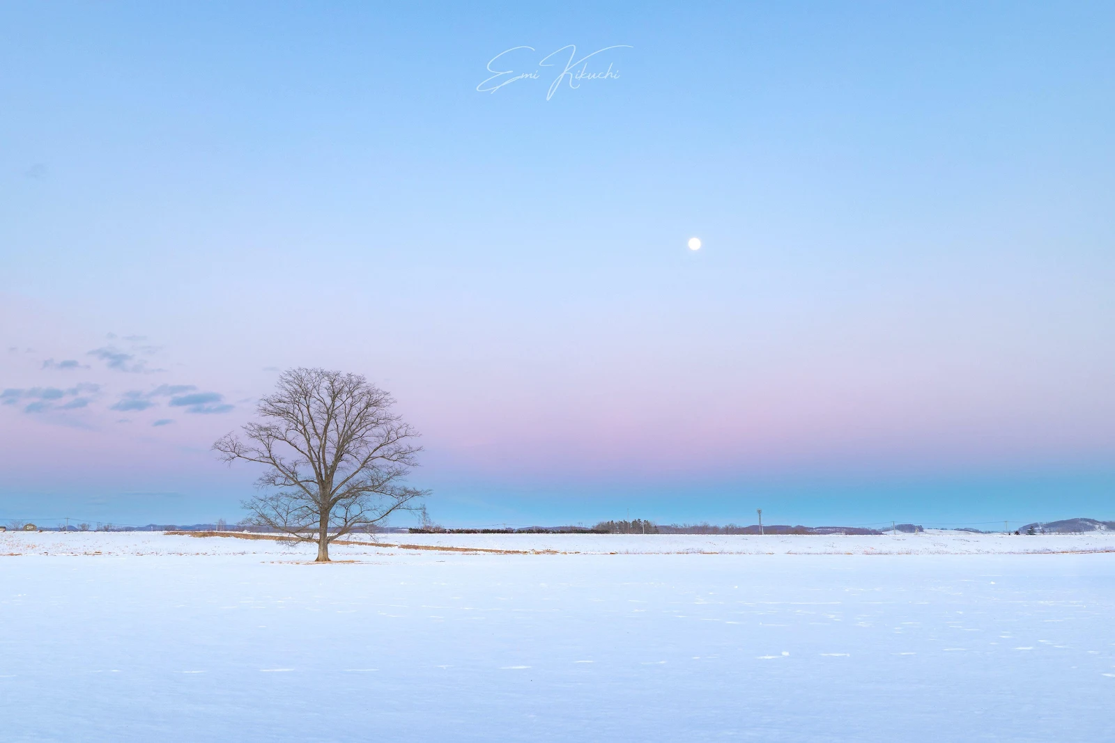 Lone Tree Under Pastel Twilight - Minimalist Landscape Photography 4K Wallpaper (4096x2732)