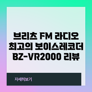 브리츠 녹음기, BZ-VR2000, FM 라디오, 보이스 레코더, 블랙 리뷰