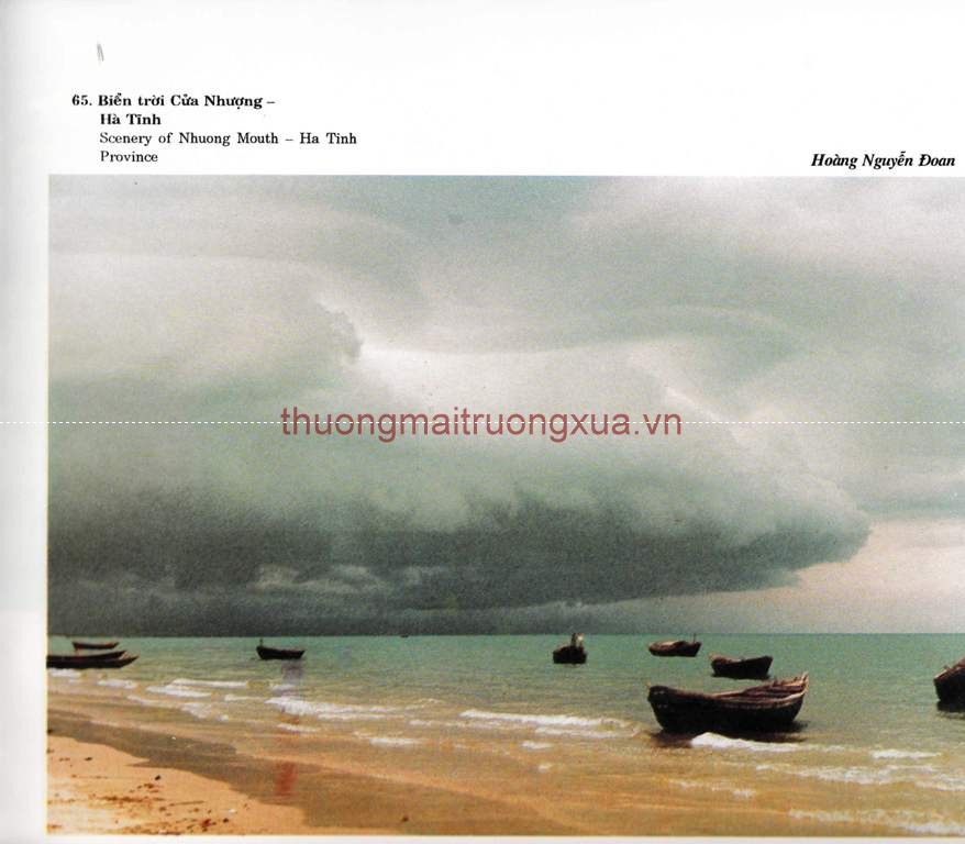 Tập san : Mực tím (số 65 - 1992) - Trang 73