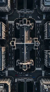 Bonsai Tree in Zen Garden