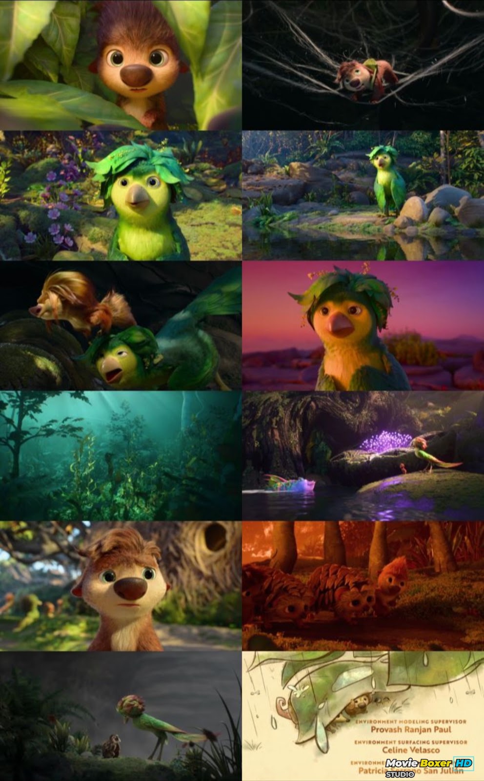 Screenshots Grid