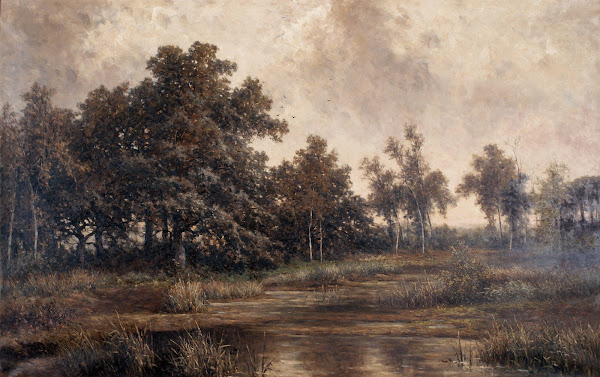 Pool in the Kempen